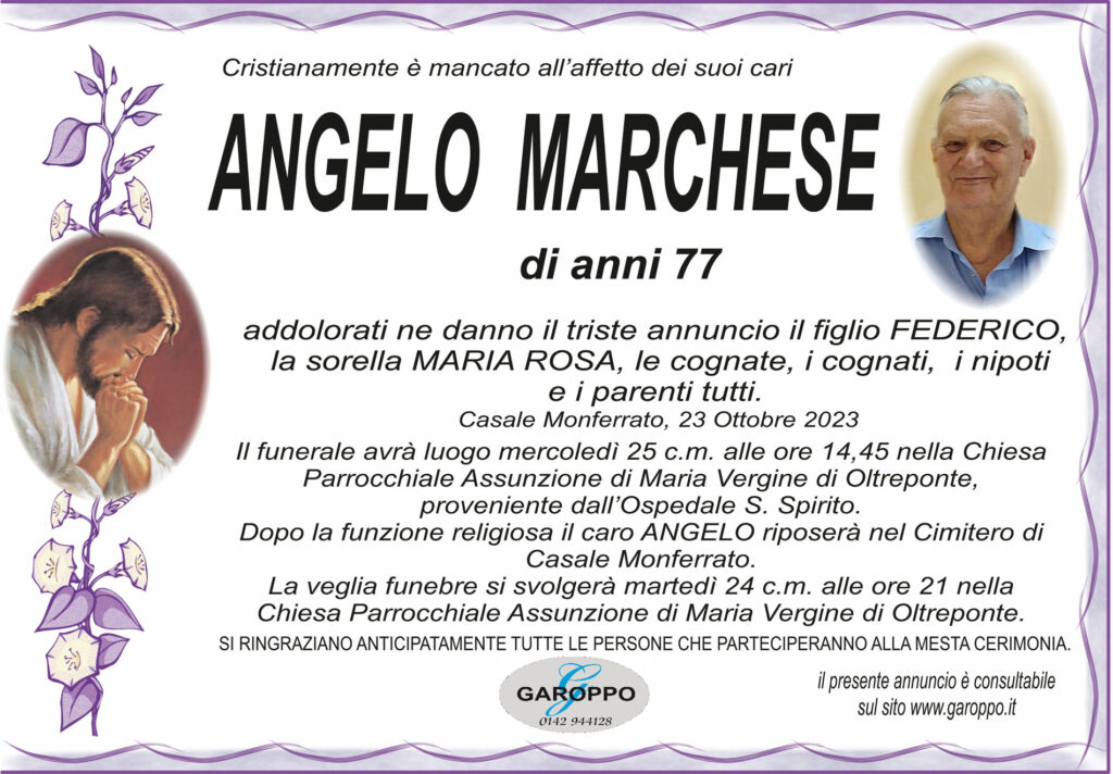 ann Marchese Angelo